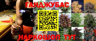 гидропоника Пушкино
