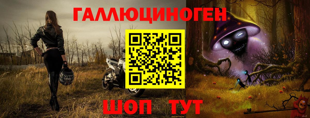 Реутов  сколько стоит  Вход с VPN  Галлюциногенные грибы ЛСД 