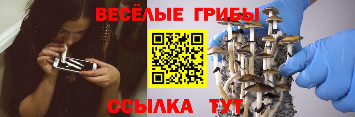 Галлюциногенные грибы мицелий Реутов